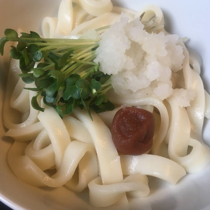 梅干しとW大根の釜揚げきしめん、年明けうどんに